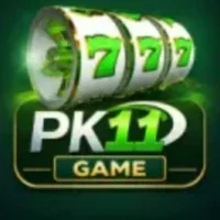 PK11 Game